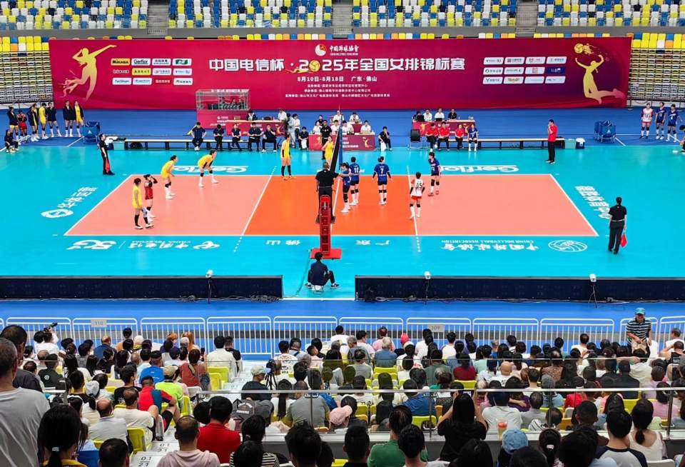 比赛的场馆 比赛的场馆