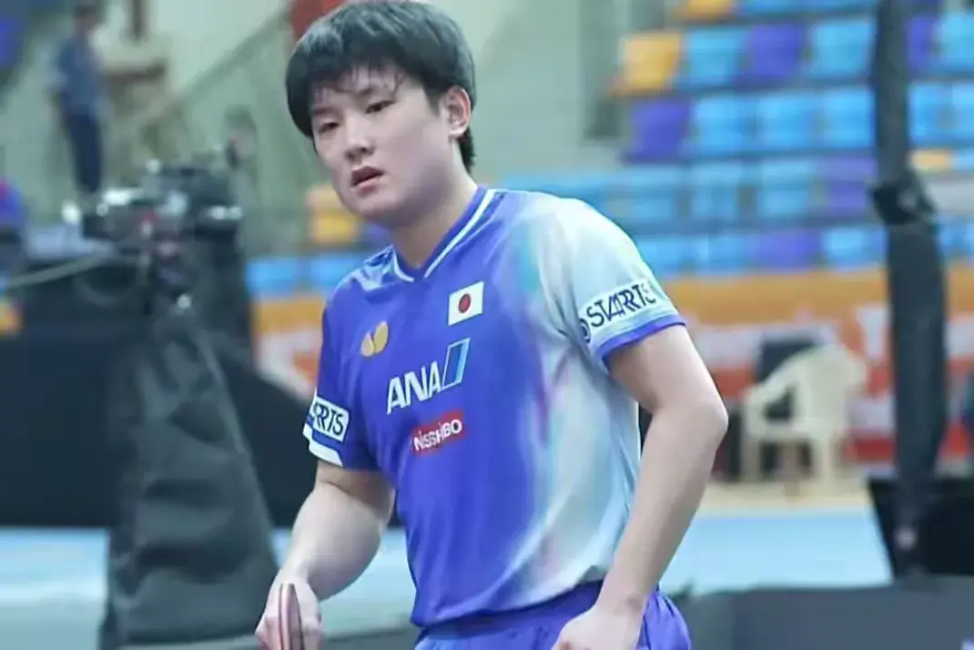 不是王楚钦, 经历的类似, 嚣张狂傲到